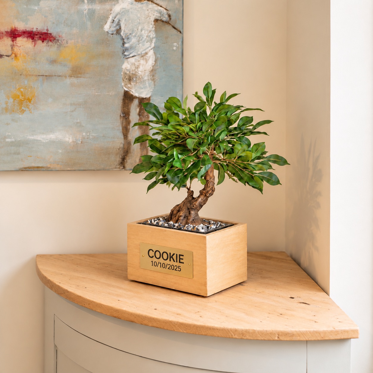Urne Bonsaï Ficus avec plaque personnalisée portant le nom COOKIE et la date 10/10/2025, présentée dans un intérieur lumineux.