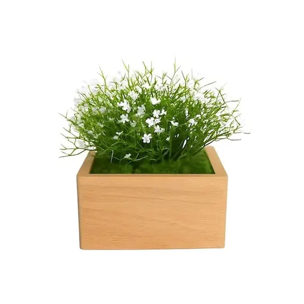 Tierurne Marguerite – weiß