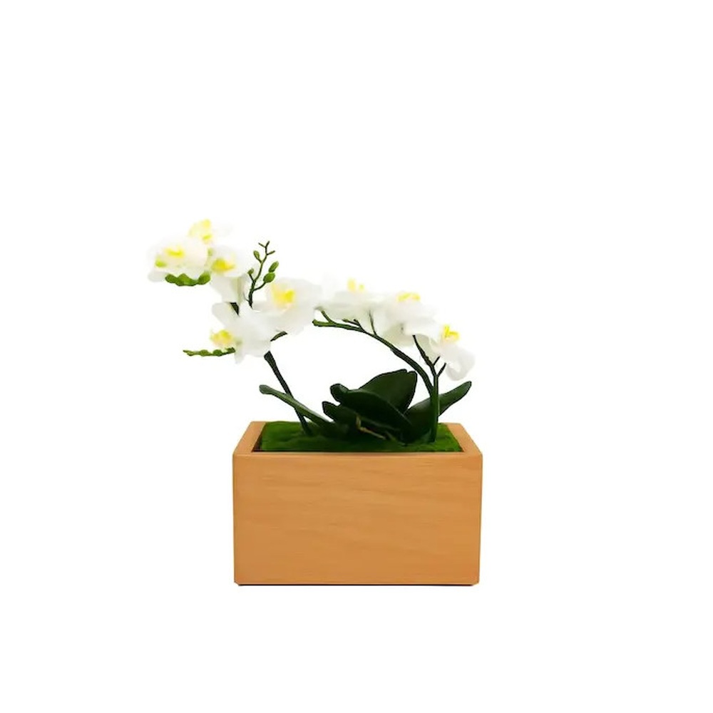 Tierurne Orchidée