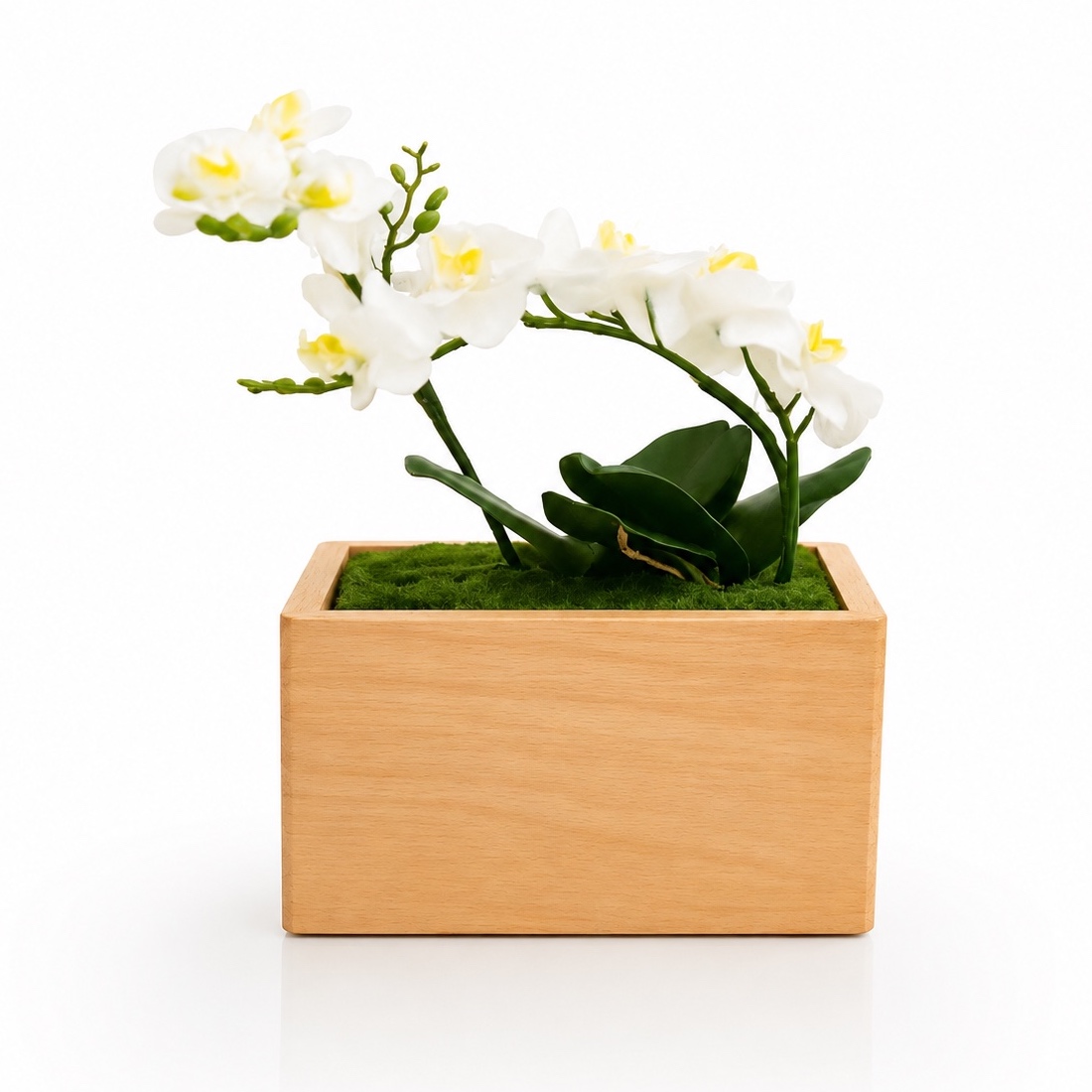 Tierurne Orchidée aus Buchenholz mit künstlichen weißen Orchideen, Vorderansicht ohne Gravur.