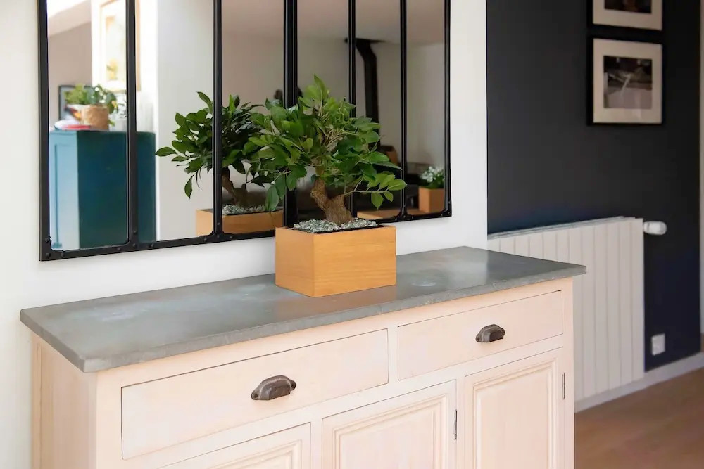 Bonsaï Ficus - 4