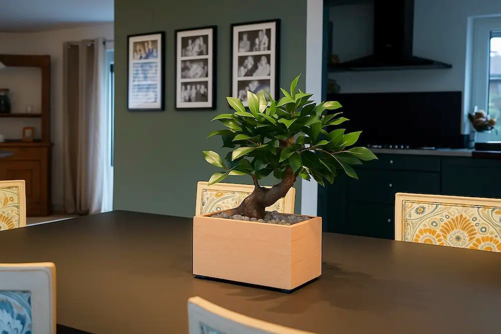 Urne Bonsaï Ficus en hêtre avec bonsaï artificiel, dans un intérieur.