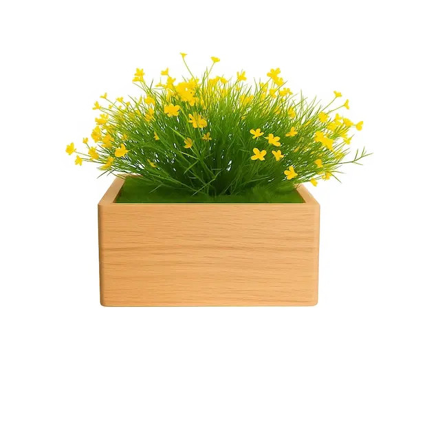 Marguerite jaune - 2