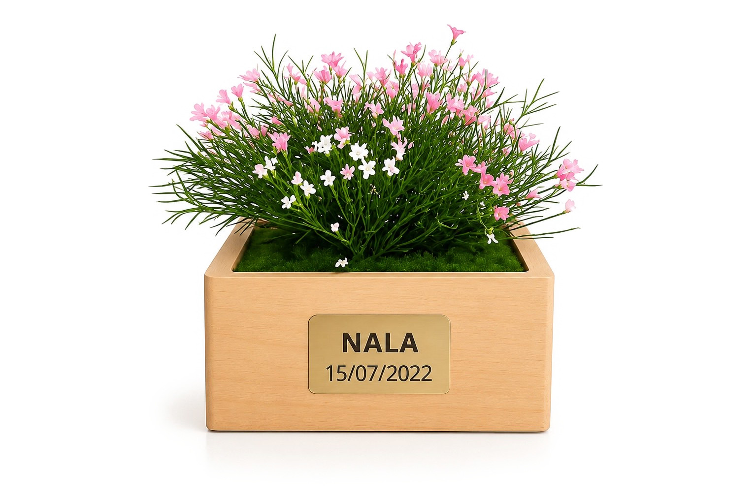 Urne en hêtre aux marguerites roses avec plaque personnalisée NALA