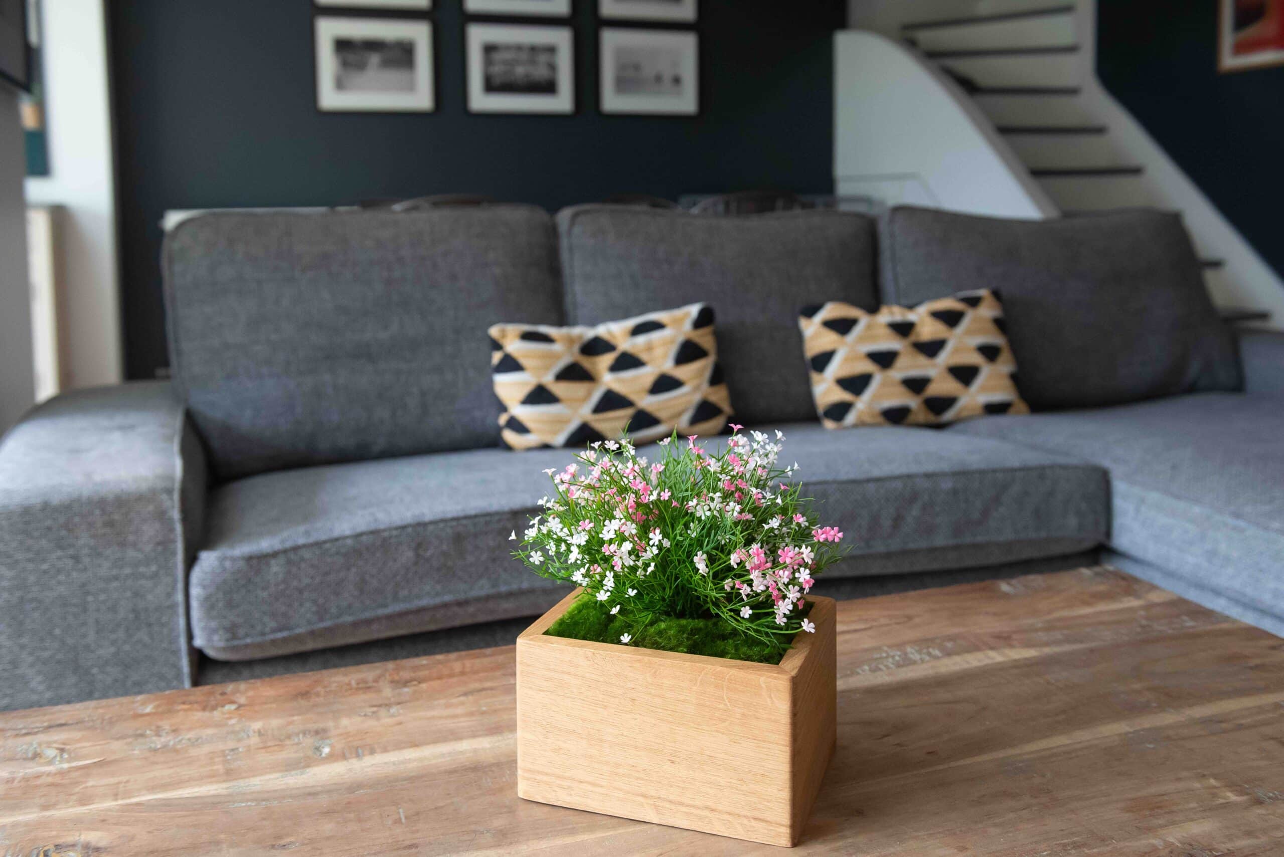 Ambiance 2 - Marguerite Rose